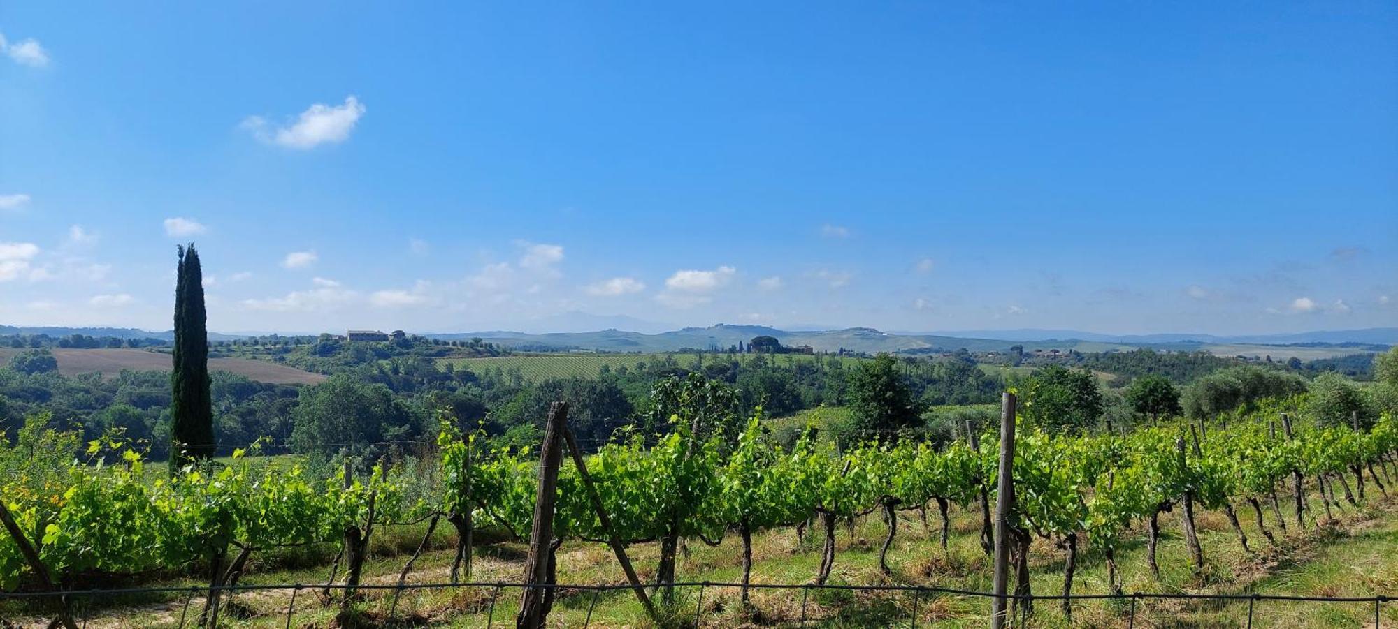 Chianti - Lovely Cottage With Parking & Garden! 카스텔누오보베라덴가 외부 사진